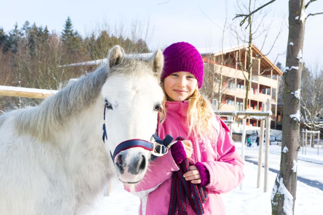 Pony im Winter im ULRICHSHOF