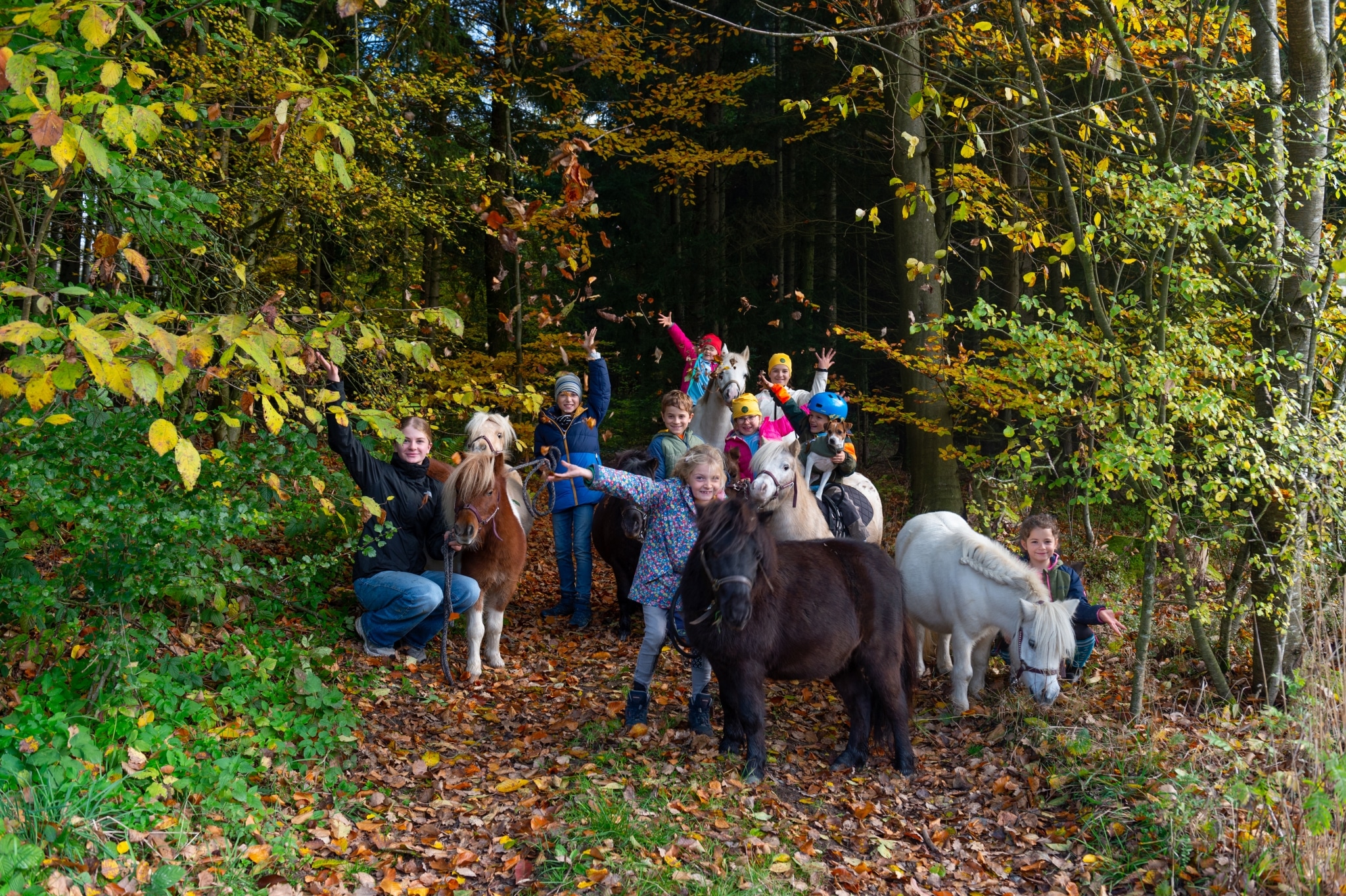 Fröhliche Kinder mit mehreren Ponys auf einem herbstlichen Waldweg, werfen buntes Laub in die Luft und genießen gemeinsam einen Ausflug in der Natur.