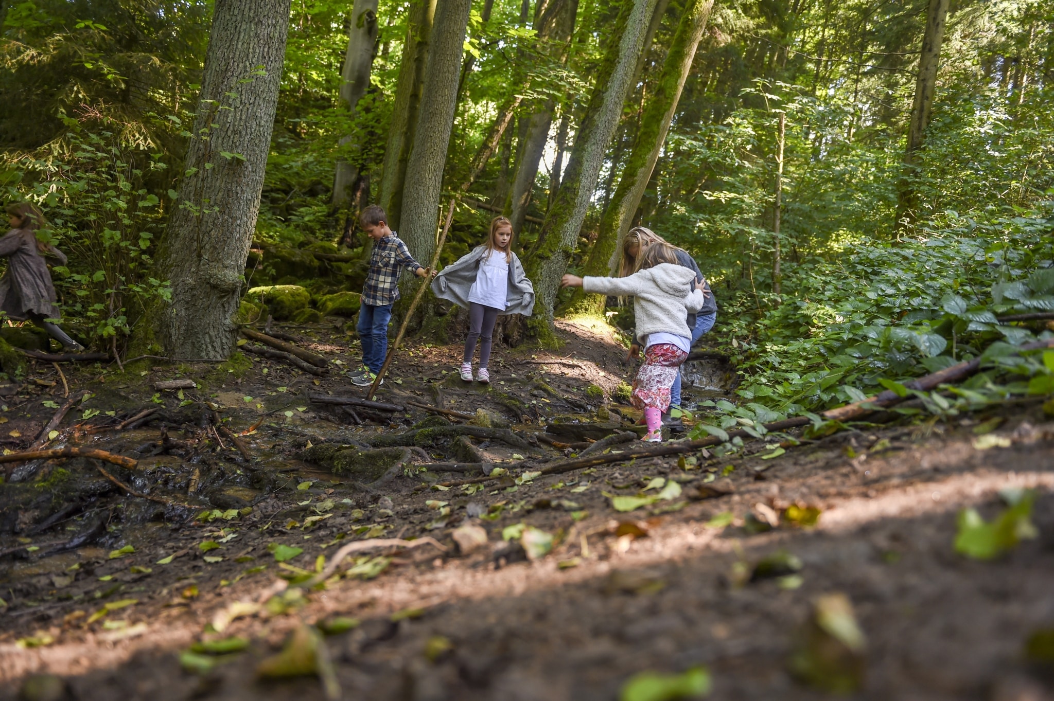Adventure Camp